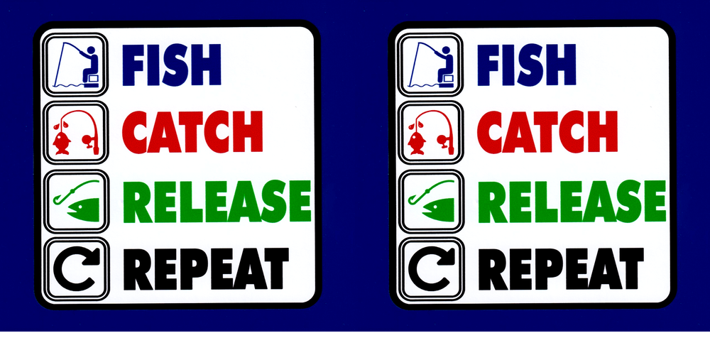 'Fish catch release repeat' vinyl stickers 150mm