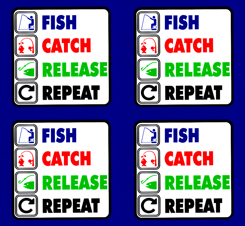 'Fish catch release repeat' vinyl stickers 100mm