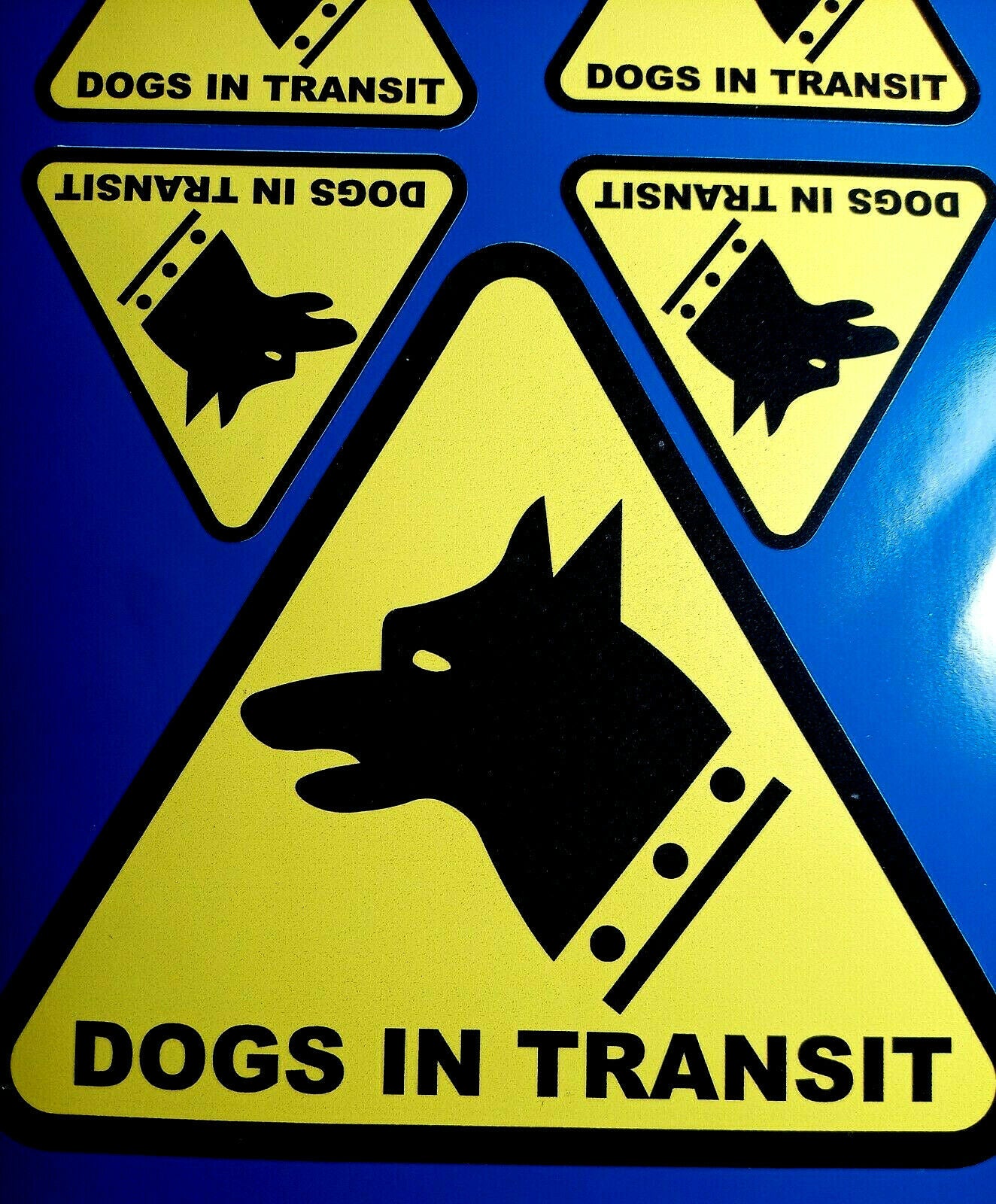 Dogs In Transit Stickers Warning Sign Decal Vinyl – Redsigns
